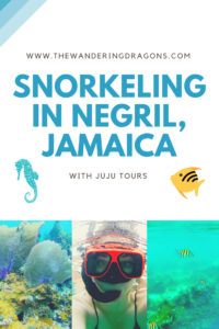 Snorkeling in Negril with JuJu Tours