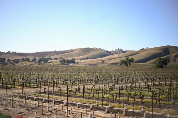 A Guide to Visiting Paso Robles Wine Country + Long Weekend Itinerary ...