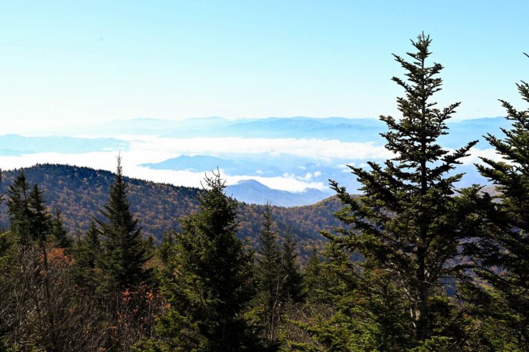 Great Smoky Mountains National Park Day Trip from Knoxville - Appetites ...