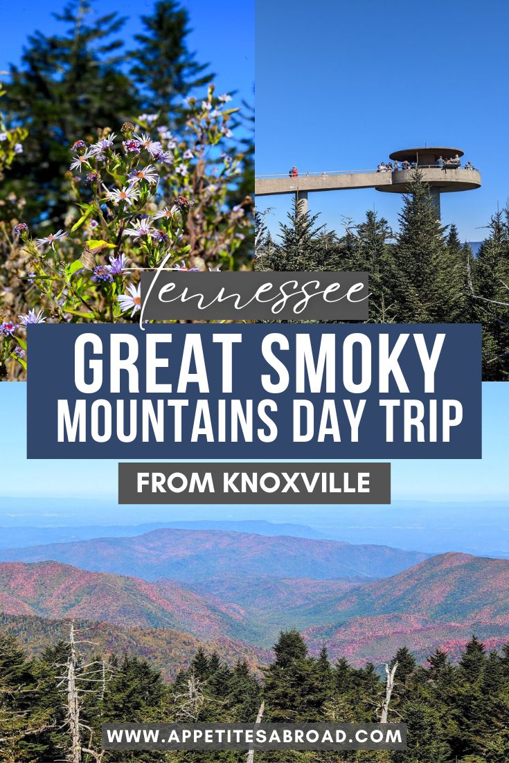 Smokies-Day-Trip-from-Knoxville-Tennessee - Appetites Abroad