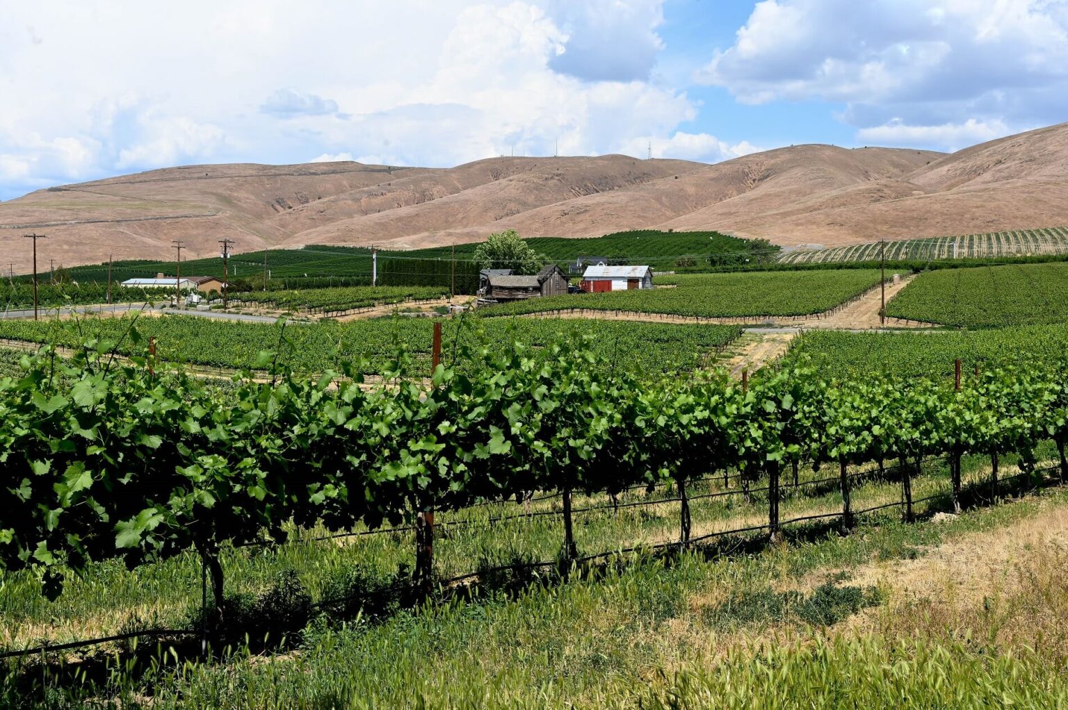 24 Hours in Yakima: Fun Things to do for Wine Lovers, Beer Geeks ...