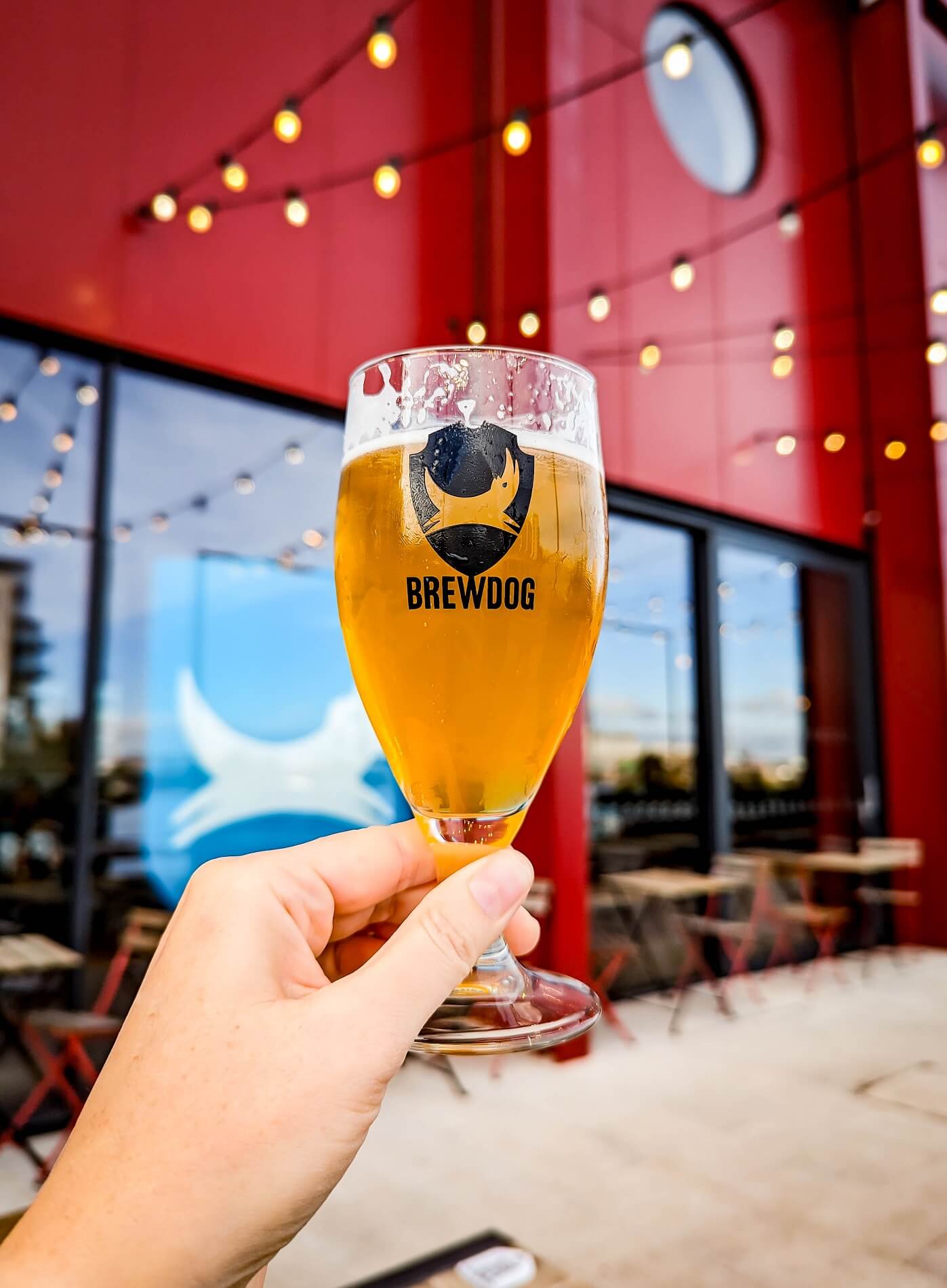 BrewDog-Pint-of-Beer-at-Dublin-Outpost - Appetites Abroad